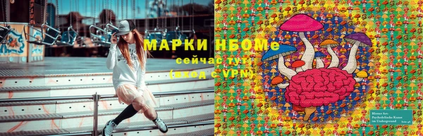 шишки Богородицк