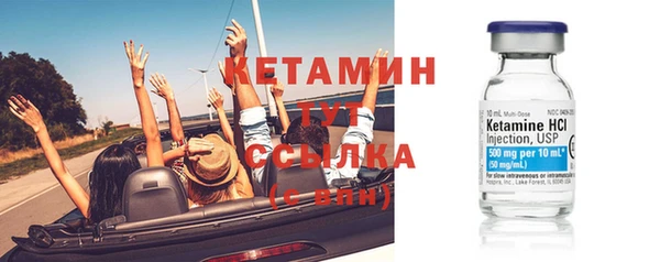 шишки Богородицк