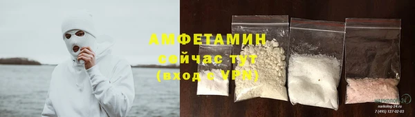 шишки Богородицк