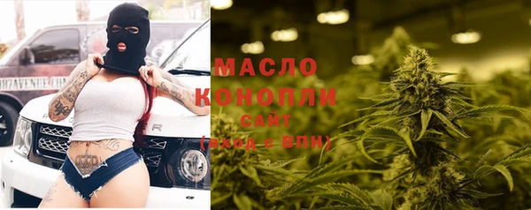 шишки Богородицк