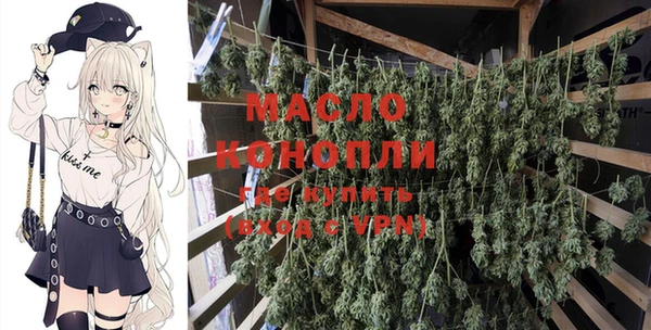 шишки Богородицк